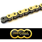 レジーナ (REGINA) チェーン