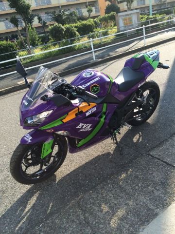 kawasaki ninja 250r purple