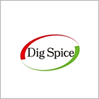 Digspice(1)