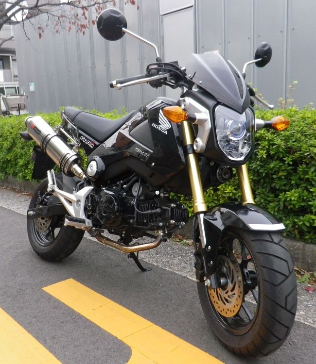 Webike World Walk ワールドウォーク グロム用メーターバイザー グロム Ws 16m スクリーン 通販