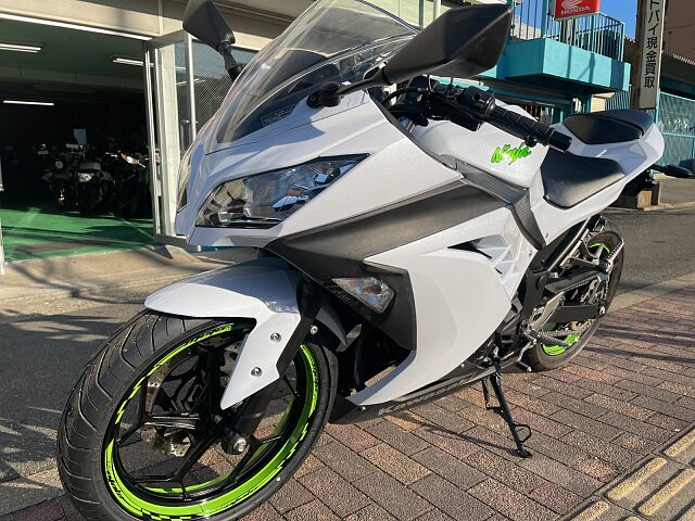 Ninja 250/カワサキ/KAWASAKI ニンジャ 250 自賠責保険1年付 