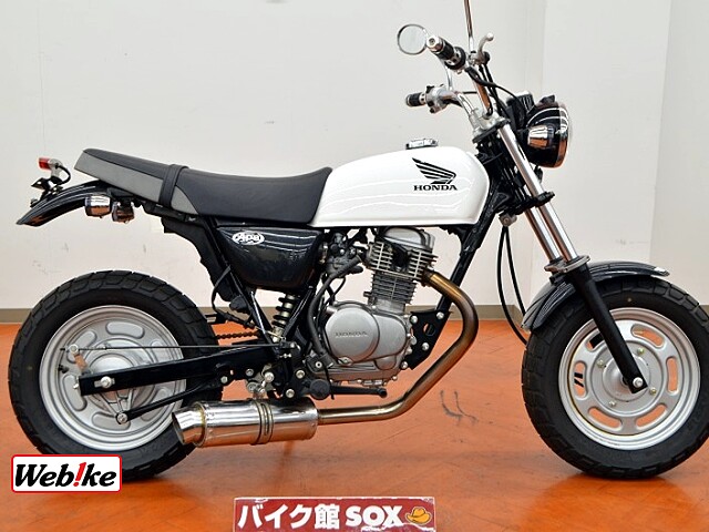 エイプ100 ホンダのクチコミ レビュー 評価 評判 足つき情報 バイク中古車なら Webikeバイク選び