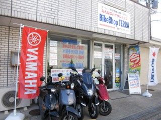 BikeShop TERRA