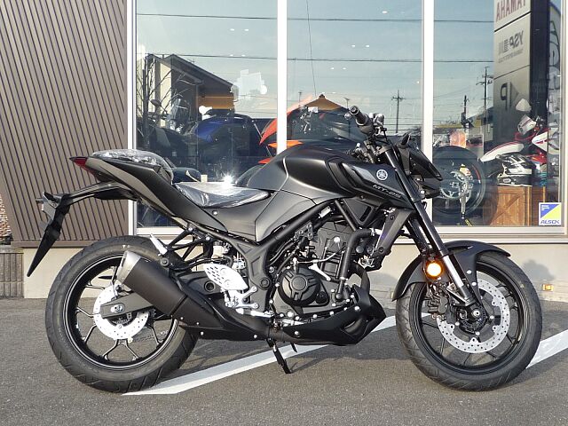 ストリートファイター 中型バイク 250cc を探す 新車 中古バイク検索サイト ウェビック バイク選び