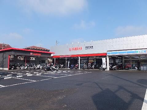 (株)アンフィニスポーツYSP船橋