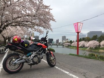 きみなりさんから:「」とオーナーレビュー