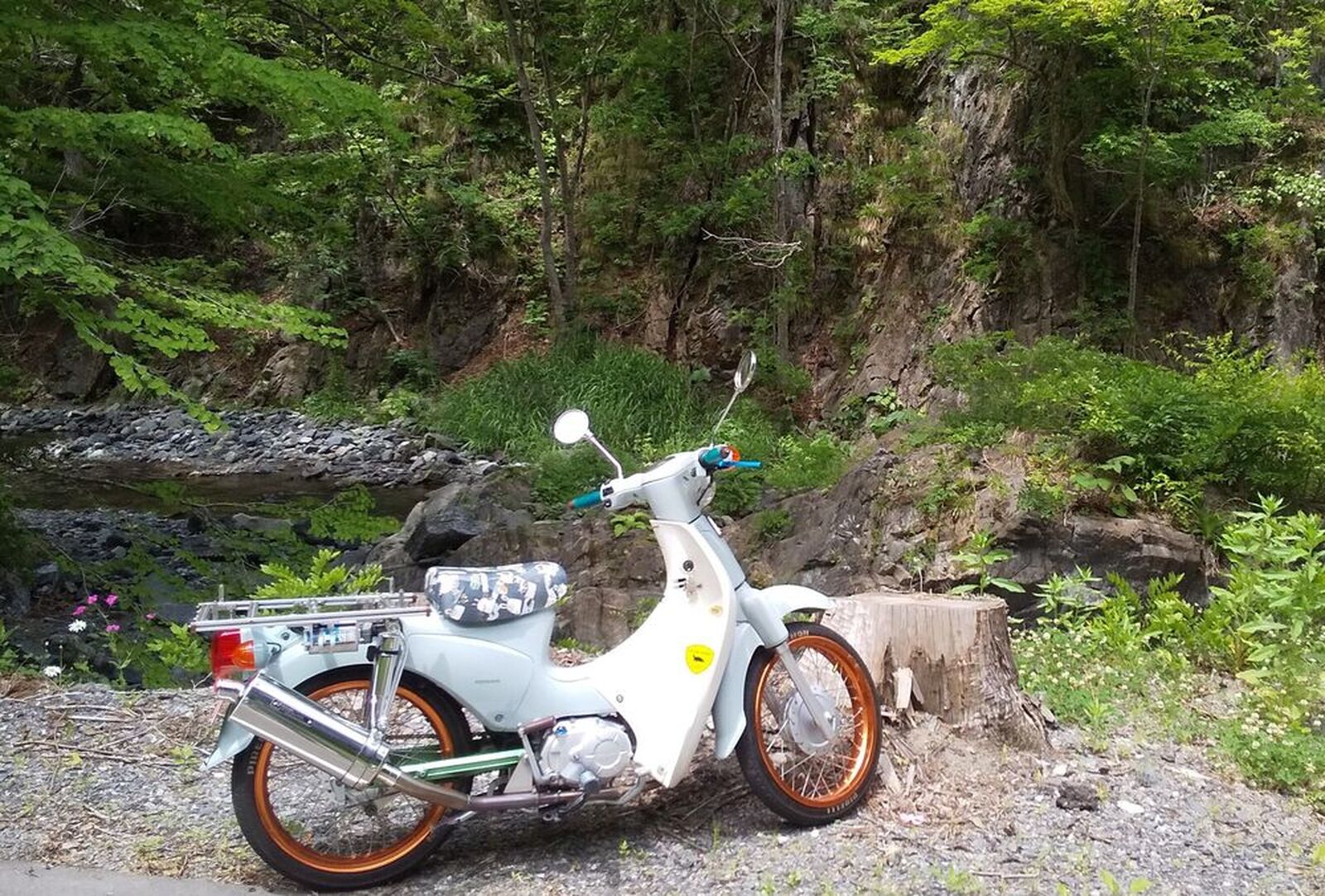 スーパーカブ110 ホンダの新車 中古バイクを愛知県から探す ウェビック バイク選び