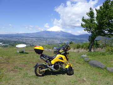 1622807050959M.jpg