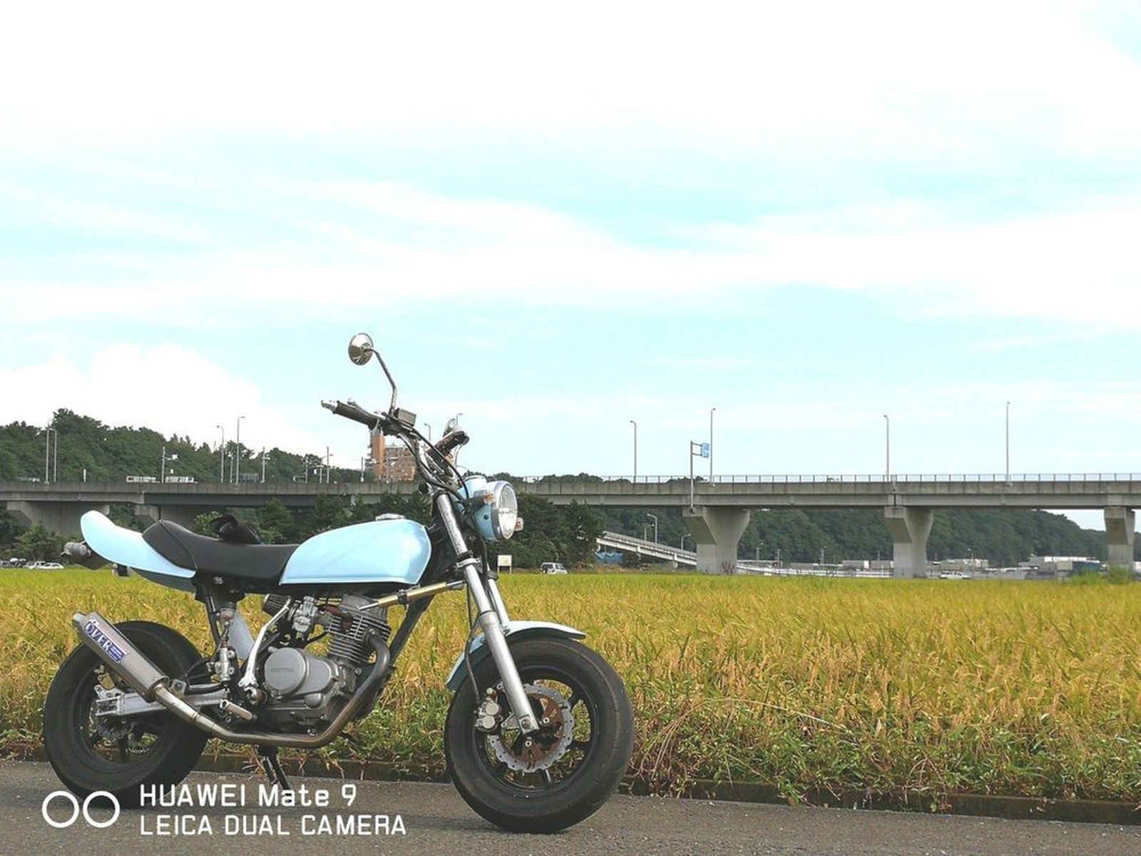 エイプ50 ホンダの新車 中古バイクを関東から探す ウェビック バイク選び