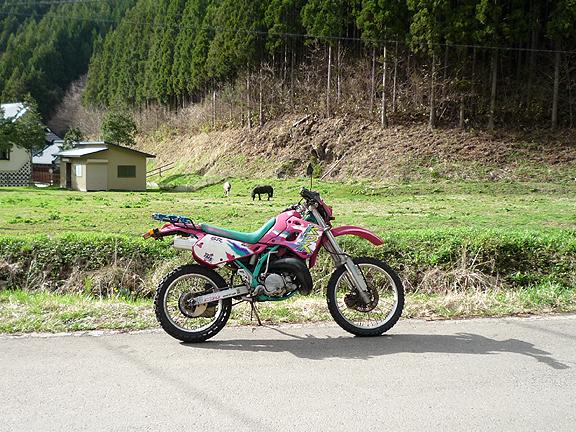 ぶっぱ５さんの愛車kawasaki Kdx250sr Myバイク ウェビックコミュニティ