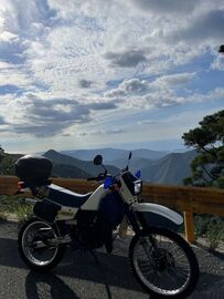 1627047742299M.jpg