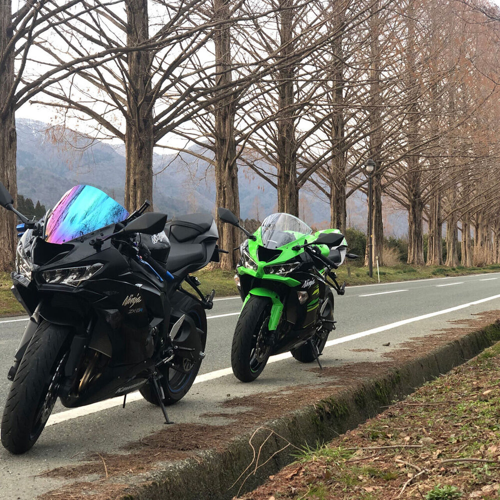 Kawasaki Zx 6r 冬の終わり 滋賀県マキノメタセコイヤ並木 ウェビックコミュニティ