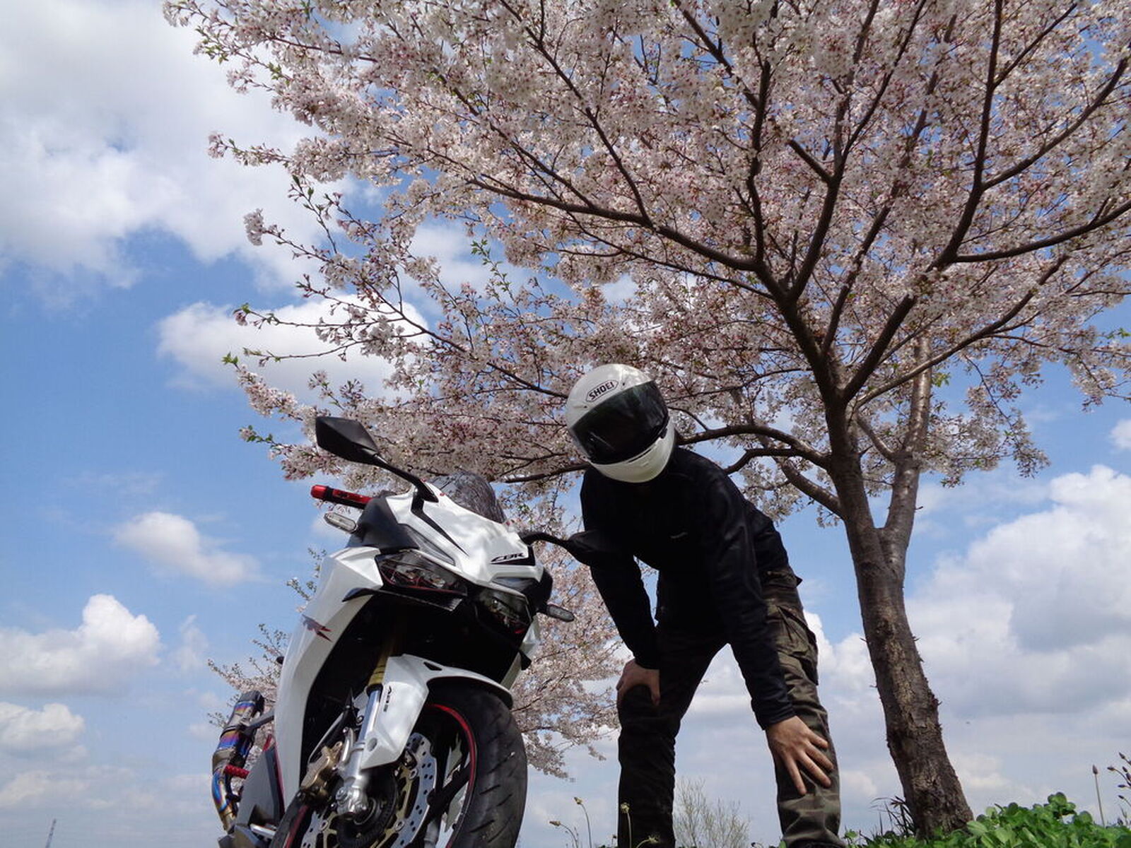 Honda Cbr250rr 17 Cbr250rr 桜ツーリング ウェビックコミュニティ