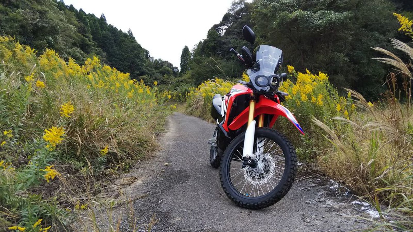 Honda Crf250 Rally ラリー納車されました ウェビックコミュニティ