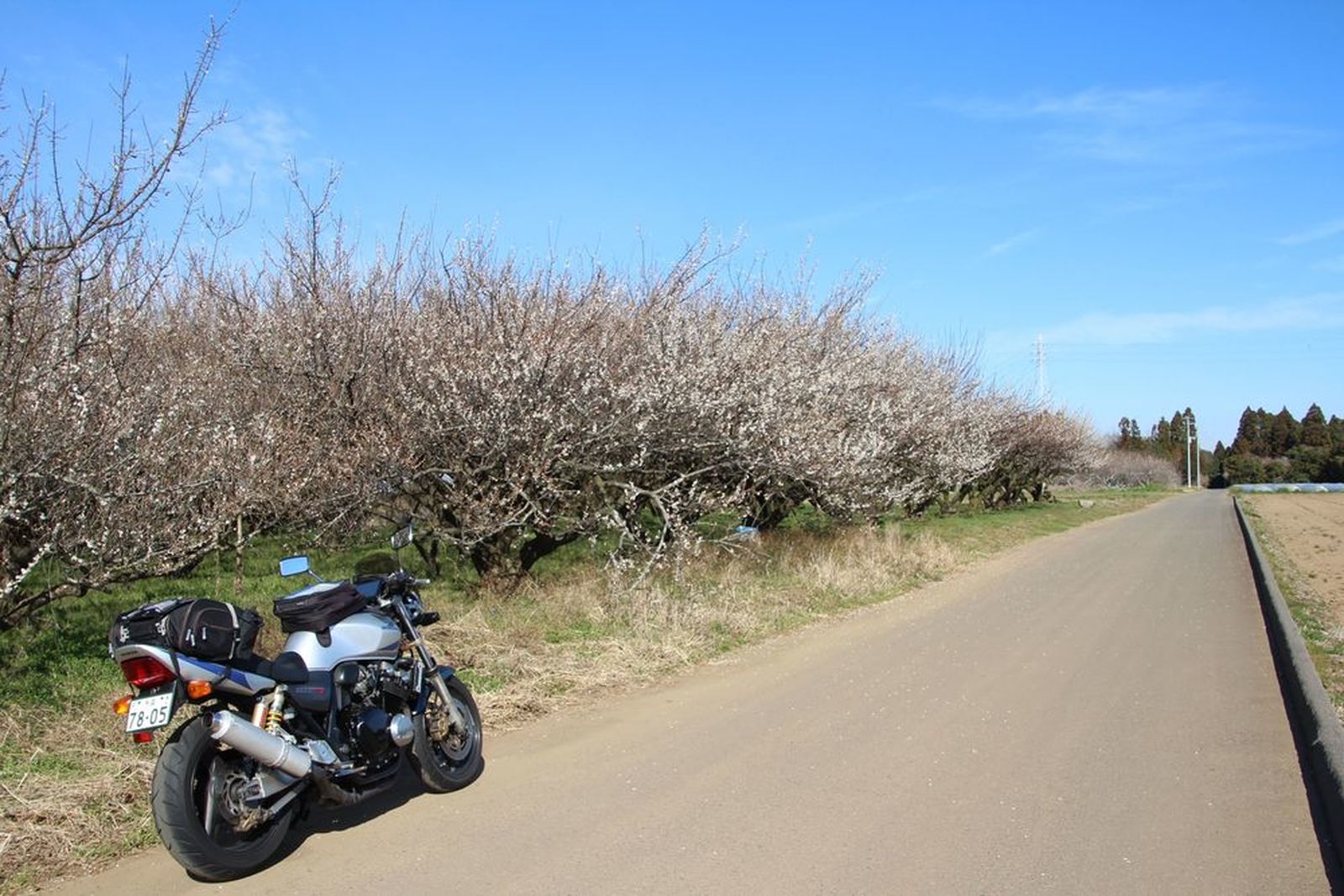 Honda Cb400スーパーフォア 茨城水戸ツーリング 黄門様と梅娘がお出迎え ウェビックコミュニティ