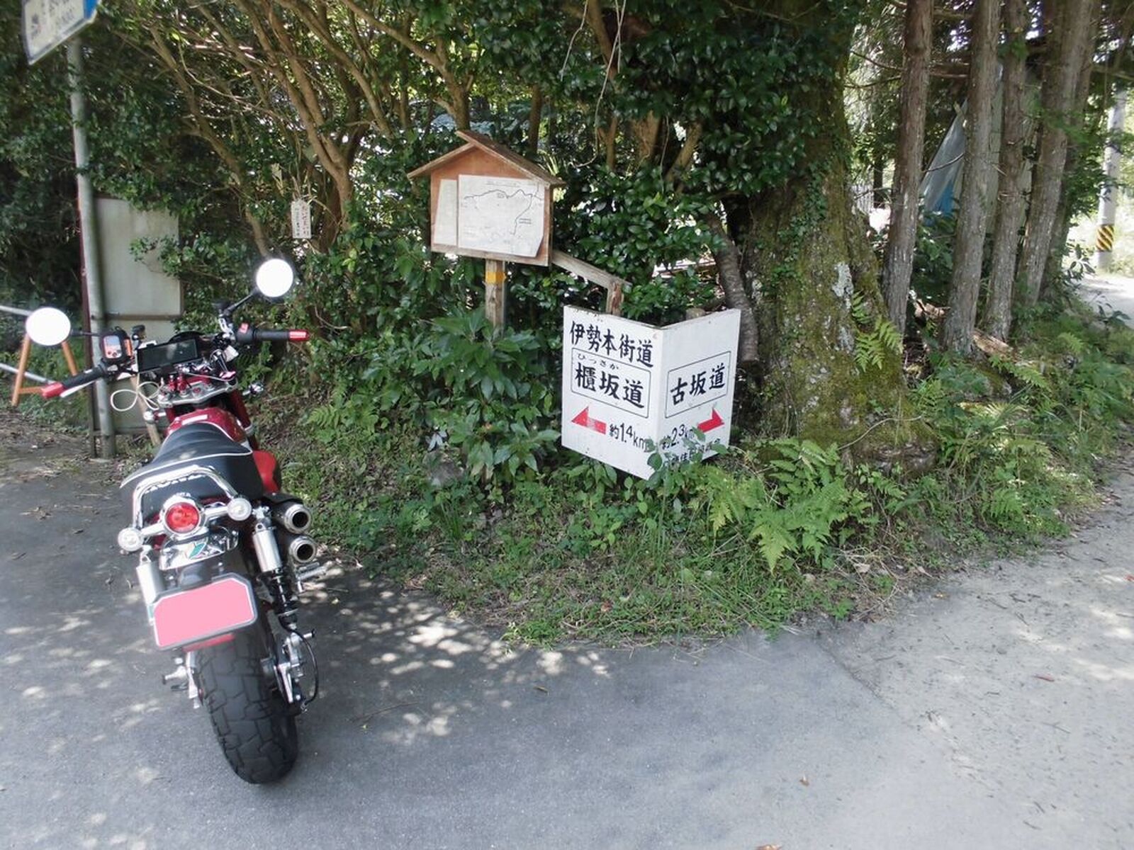 Honda モンキー125 仁柿峠 伊勢本街道櫃坂 ひっさか 道 三重県の国道368号 ウェビックコミュニティ