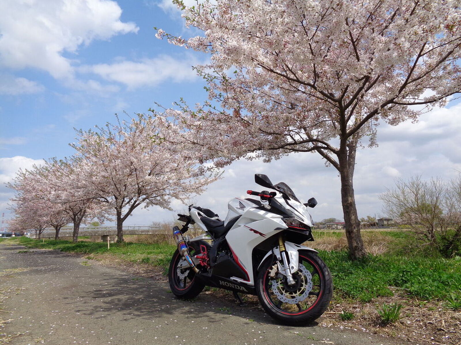 Honda Cbr250rr 17 Cbr250rr 桜ツーリング ウェビックコミュニティ