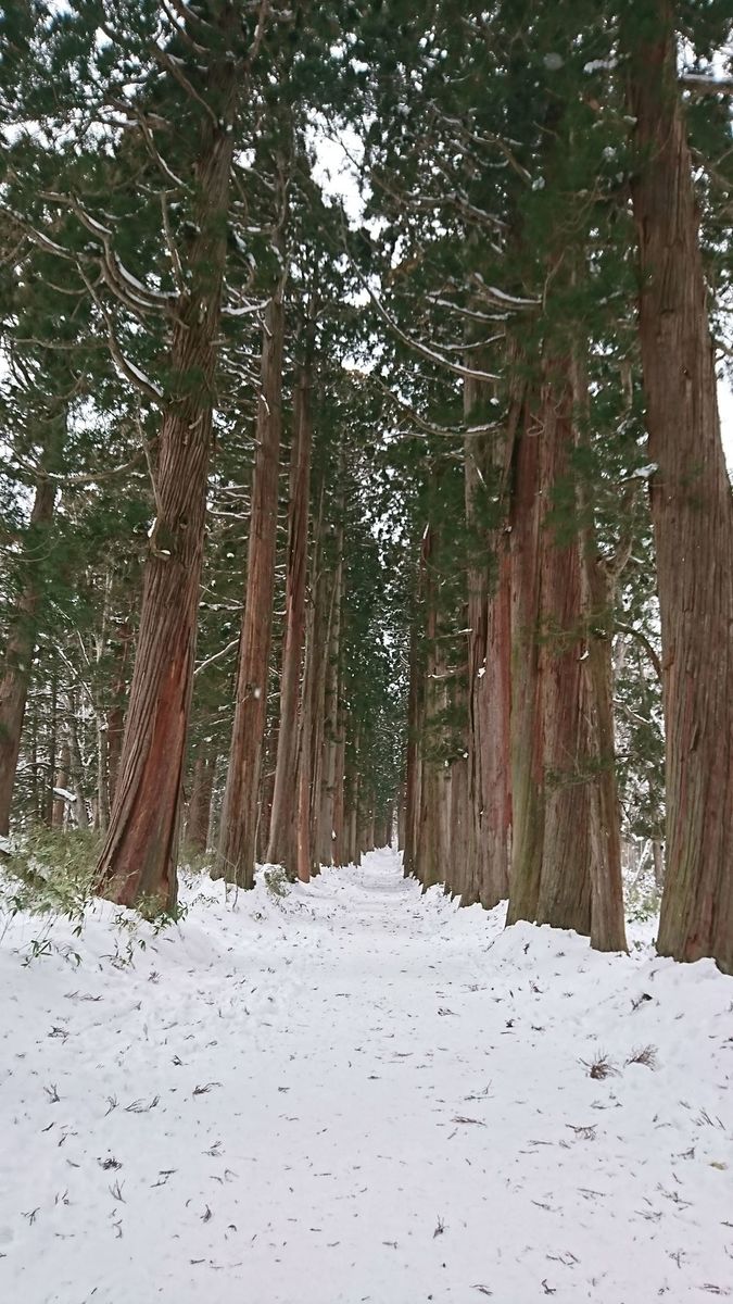 長野県 戸隠神社 ウェビックコミュニティ