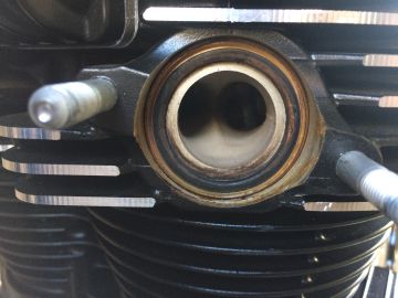 KAWASAKI W800 RAPiD BIKE:ラピッドバイク RAPiDBIKE-EASY [ラピッド