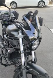 エリミネーター400用デイトナブラストバリアー KAWASAKI エリミネーター400(2023-) DAYTONA:デイトナ ブラスト