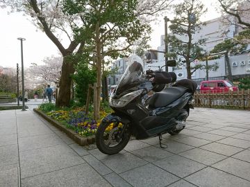 ホンダ Pcx150 スクリーン バイクパーツ通販 Webike