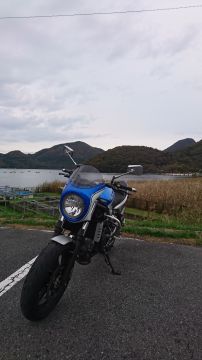 d71303c43040f10b38c275cdd1933a