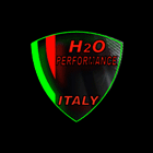 H2O Performance(1)