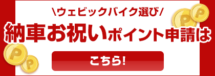 �o�C�N�I�т̃|�C���g�\���͂����炩��